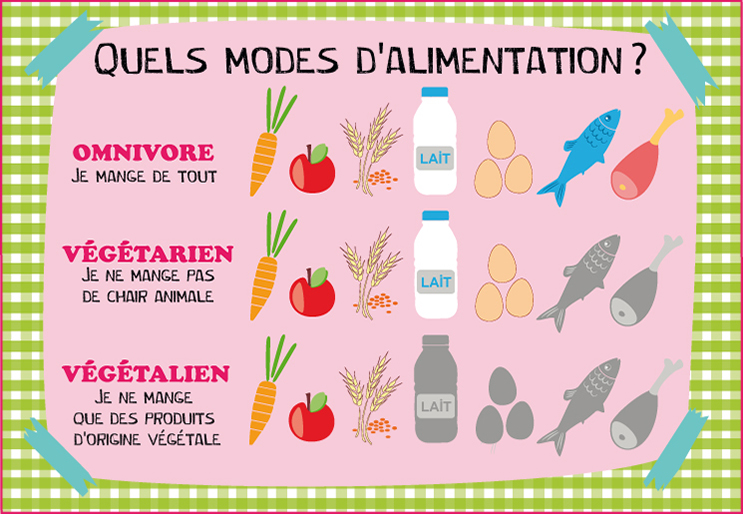 Protéines végétales  Alimentation et santé, Aliments bons pour la santé,  Alimentation vegetarienne